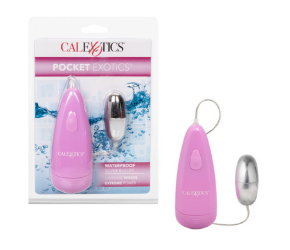 Pocket Exotics® Waterproof Silver Bullet