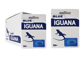 Blue Iguana